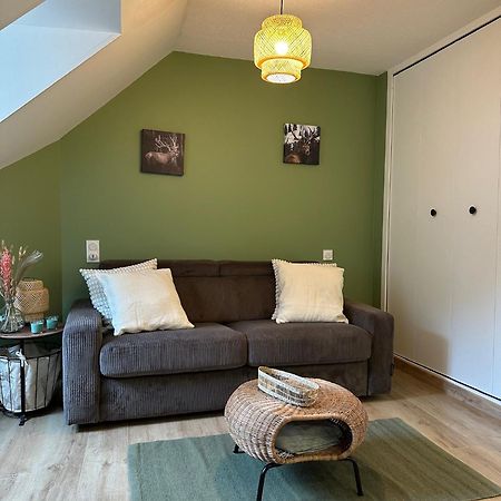 Les Meubles De Luchon - L'Echappee Verte - Centre Luchon, Calme, Wifi Bagnères-de-Luchon エクステリア 写真